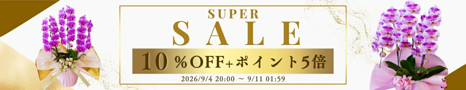 楽天スーパーセールポイント5倍＋10％オフ！胡蝶蘭ギフト　敬老の日　ギフト