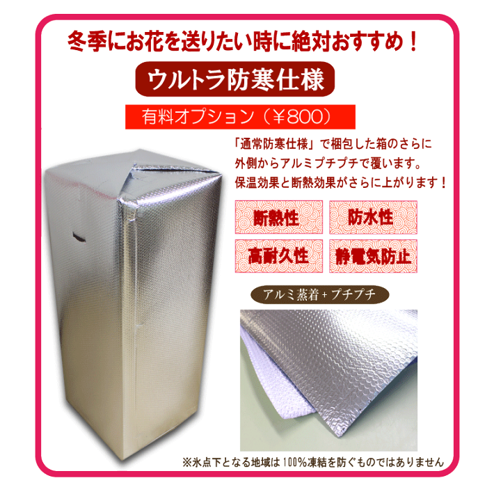 楽天市場 胡蝶蘭 3本立ち 10 000円 大輪 27 30輪 つぼみ含む 中輪 あす楽 花 ギフト お祝い お供え フラワーギフト ホワイトデー ひな祭り 開店祝い 開業祝い 誕生日祝い 開院祝い 叙勲 就任祝い 昇進祝い 移転祝い 内祝い 長寿祝い 当選祝い ふじみ野ラン園 楽天