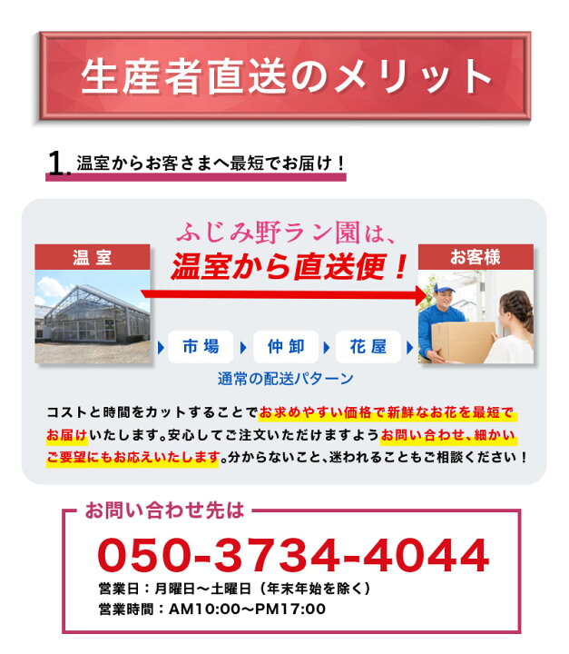楽天市場 あす楽 胡蝶蘭 ミディ中輪2本立ち 5種類 花 ギフト お中元 プレゼント お祝い お誕生日祝い 開店祝い 移転祝い 御礼 就任祝い 内祝 記念日 発表会 お礼 退職祝い お供え 供花 自宅用 当選 必勝 月間優良ショップ ふじみ野ラン園 楽天市場店