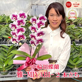 【NEW！おすすめ】 胡蝶蘭 「雅-MIYABI-」 中大輪 2本立ち あす楽 花 ギフト お祝い お供え 昇任祝い 誕生日祝い 記念日 開店祝い 結婚祝い 新築祝い 開院祝い 事務所開き 内祝い 周年祝い 長寿祝い 御礼 月間優良ショップ