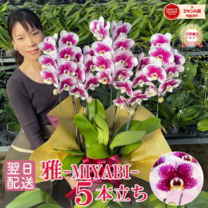 Ӓ  u -MIYABI- v5{ Ai Ai 摜t e헧DEbsOI ŒZ Mtg  ԊJXj ͏j M J@j ACj ړ]j aj 