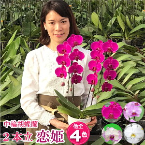 Ӓ ~fB 2{ 4   sN  摜t e헧DEbsOI ŒZ Mtg j aj JXj hV̓ ړ]j j j LO \
