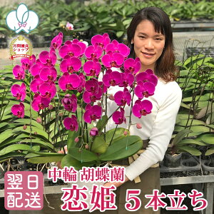 Ӓ ~fB uPv 5{    摜t e헧DEbsOI ŒZ Mtg j  aj JXj Ê  J@j LO j Nj 