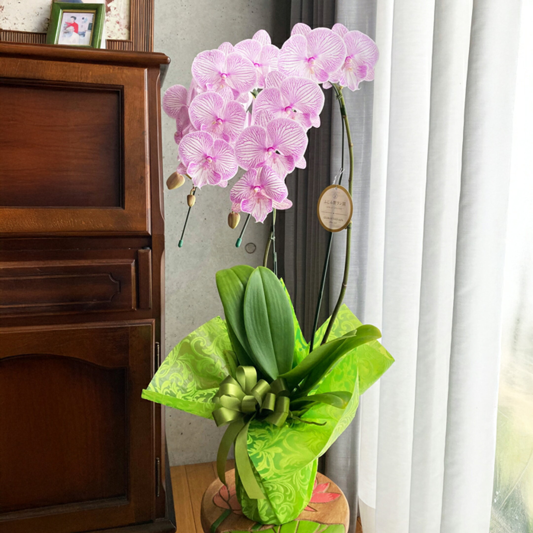 「マダムマリー2本立ち」インテリアになじんでとってもステキ！