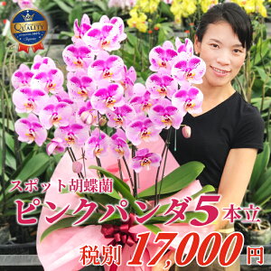 花 パンダ Diy 工具の人気商品 通販 価格比較 価格 Com 花 パンダ Diy 工具の人気商品 通販 価格比較 価格 Com
