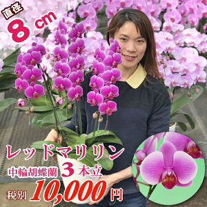 Ӓ  ubh}v3{ ŒZz C̉ԕقɉPlq͌l䂫t܂yiۏ؏tz