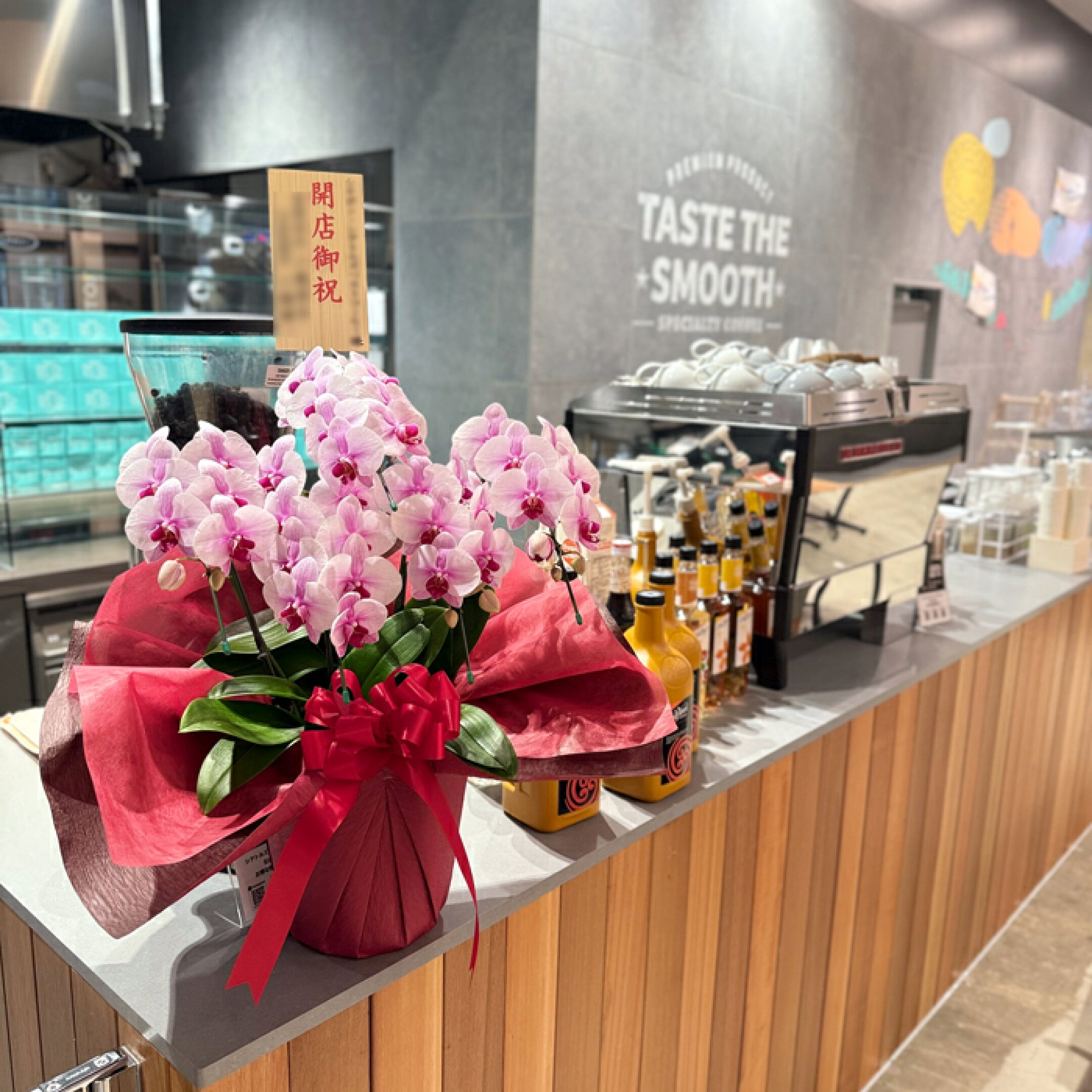 開店祝いに桜姫5本立ち