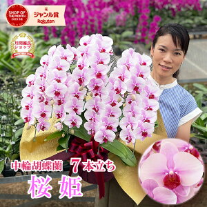 y12IGg[ōő5,000|CgobNz Ӓ uPv 7{ y݂ڂݑ߁z 摜t e헧DEbsOI ŒZ Mtg  Ԃj  a