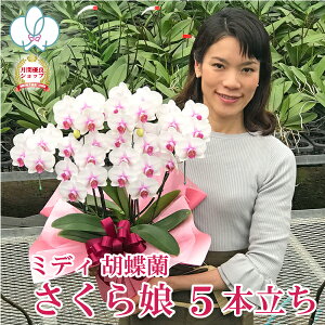Ӓ u疺v ~fB 5{ 摜t e헧DEbsOI ŒZ Mtg  R`E j  aj JXj hV̓ ACj LO j 