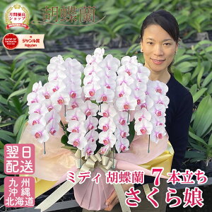 Ӓ ~fB u疺v 7{ 摜t e헧DEbsOI ŒZ   Mtg j  aj JXj ړ]j 7N LO j Ê  P 