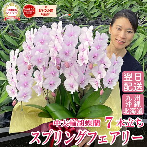 Ӓ uXvOtFA[v  7{ 摜t e헧DEbsOI ŒZ Mtg j    aj Ê  LO JXj J@j Nj