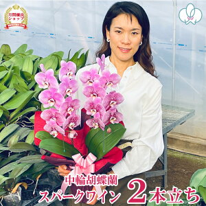 y10/27̓|Cg3{Iz Ӓ uXp[NCv  2{ A 󏭕i  摜t e헧DEbsOI ŒZ Mtg j  aj LO JX