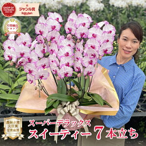 Ӓ uXC[eB[v ~fB 7{ 摜t e헧DEbsOI ŒZ Mtg j  aj JXj hV̓ ړ]j Nj 7N 77N Ê 
