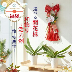 y܁z Ӓ JԊ ~fB` Iׂ2EatʃZbg  ~bNX ŒZ 낢ȕł Mtg  yʌiz j aj Vzj 