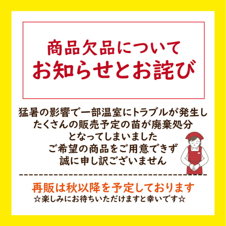 楽天市場 あす楽 胡蝶蘭 大輪1本立ち 6000円 選べる5種類 お彼岸 帰省 敬老の日 花 ギフト 誕生日祝い 内祝い 御礼 就任祝い 開店祝い 開院祝い 開業祝い 昇進祝い 退職祝い 長寿祝い 自宅用 受付 景品 叙勲 当選 必勝 月間優良ショップ ふじみ野ラン園 楽天市場店