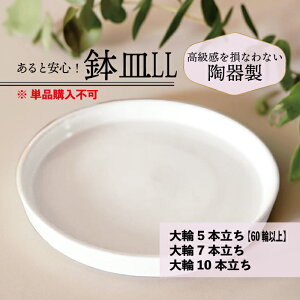 Ԃ傫قǐɕ֗ Mi)  LL TCY y 10{ 7{ 5{(60ֈȏく44,000)@3{i50ֈȏく33,000ȏ̂́j z ᔫM݂̂̍ws 