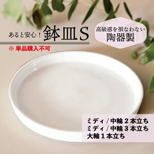 ƈS Mi)  STCY y ~fBE2{ 3{ 1{ p z  M݂̂̍wsEԂƓw 𑹂ȂȂ퐻 C̗蕨 Z