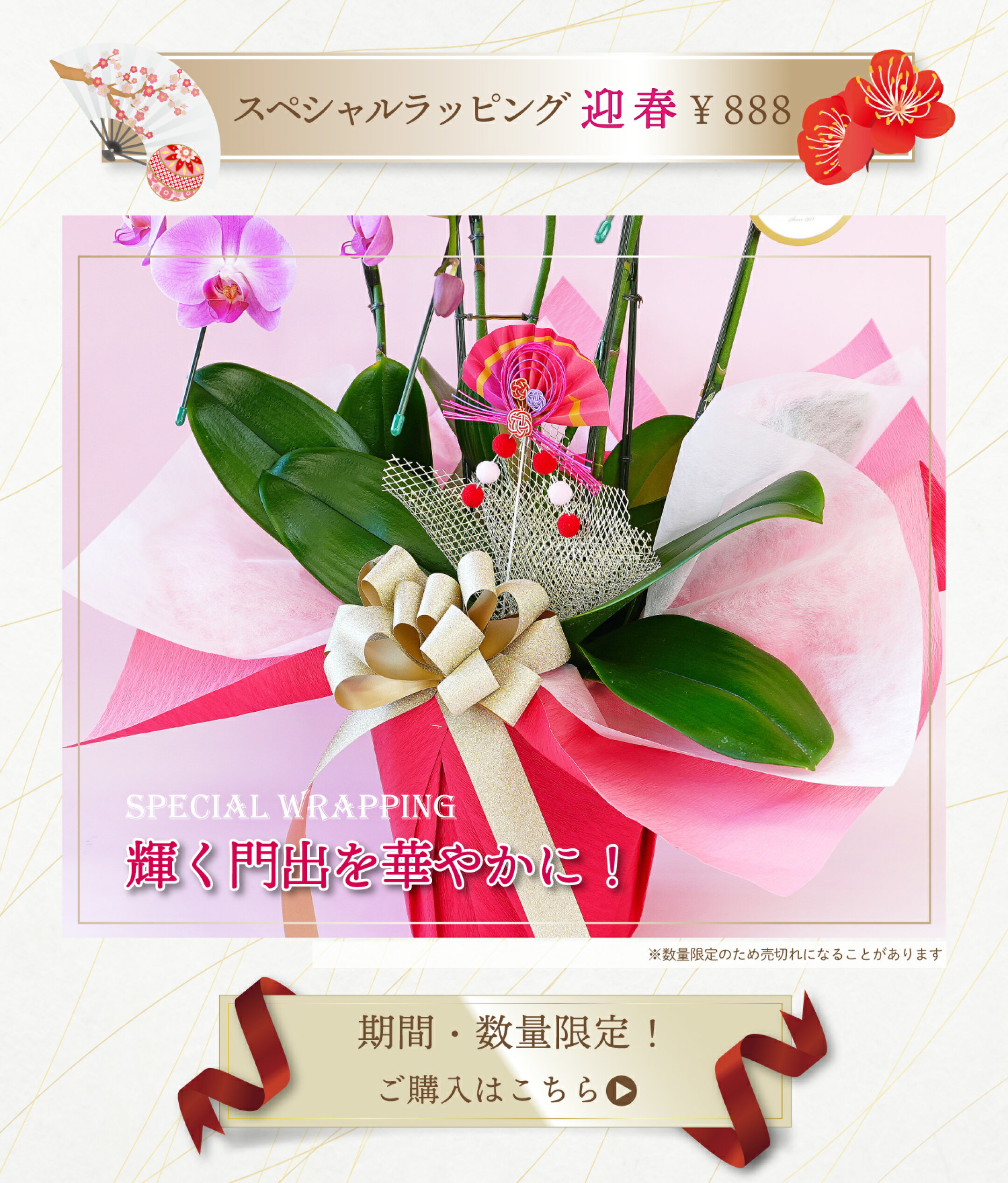 春色ピンクで福を呼ぶ「迎春」ラッピング
