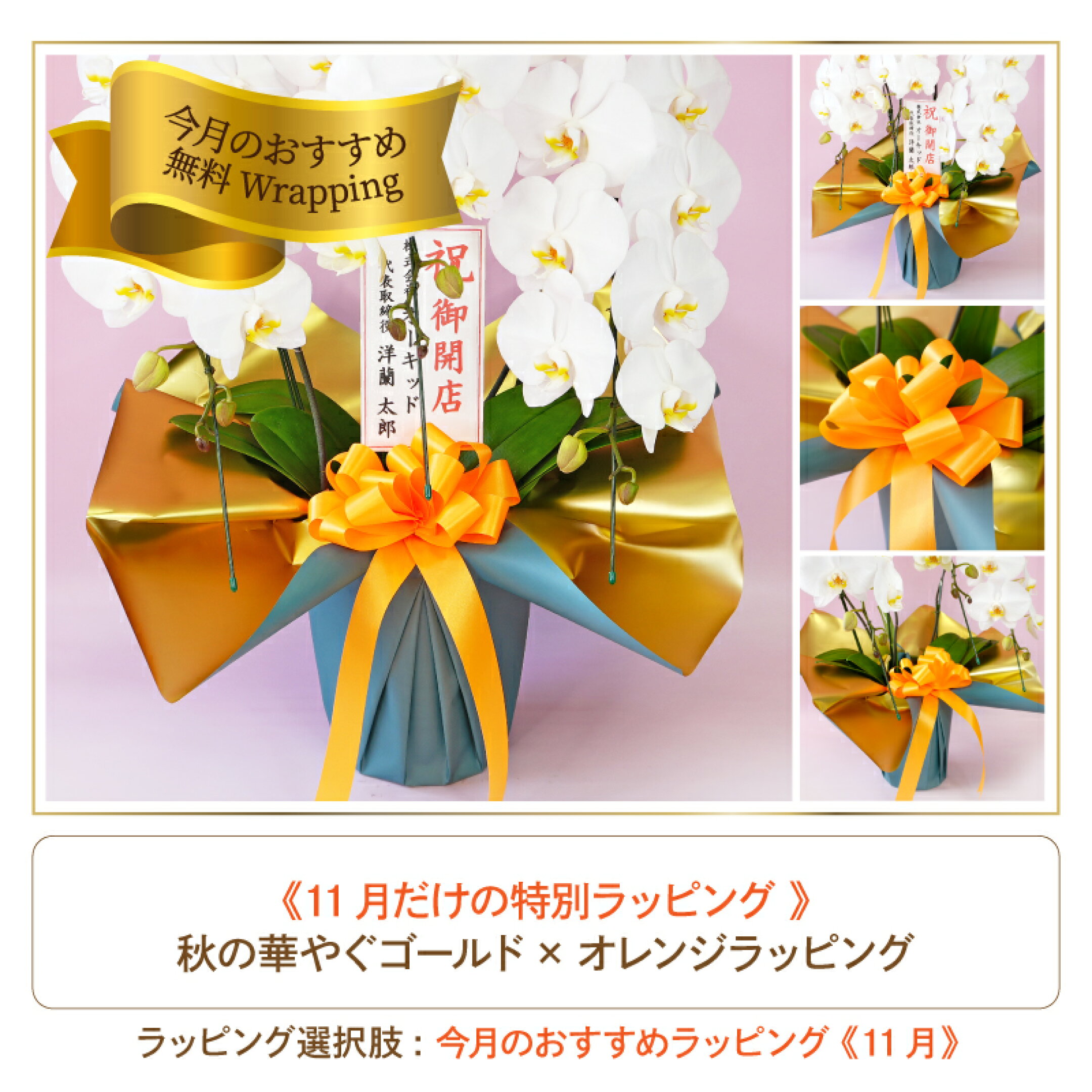 11月おすすめ無料ラッピング。数量限定！