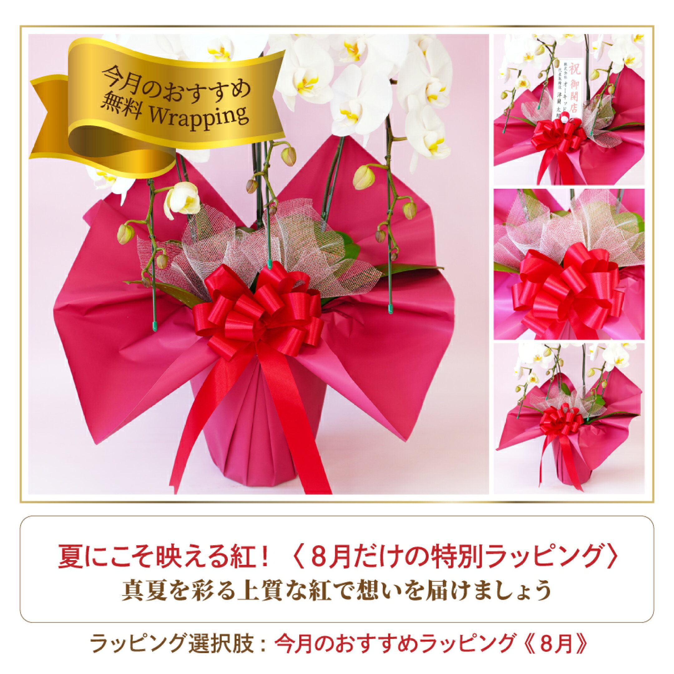 数量限定！8月の無料おすすめラッピング。ラッピングの選択肢でお選びください