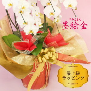 ŏ㋉bsO nG ×lbg×S[h{  XyV i ؂ȃMtg bsÔ݂̂ws JXj aj VN A l  J@j 