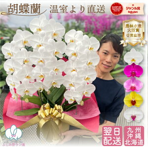 Ӓ  3{ y27ֈȏڂ݊܂ށz 摜t e헧DEbsOI ŒZ  sN  C   Mtg ꖜ~ j  JXj Ε aj 