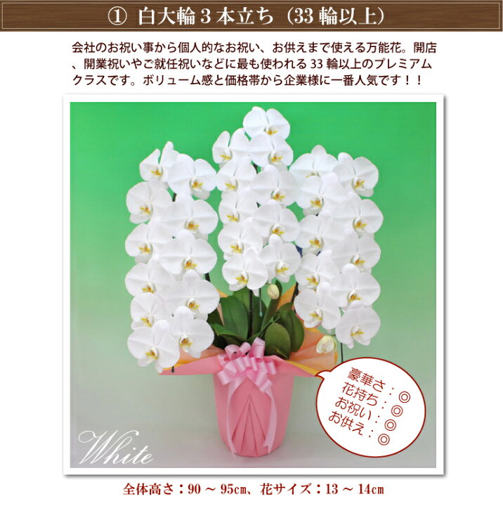 楽天市場】【月間優良ショップ受賞!】 胡蝶蘭 3本立ち 大輪プレミアムクラス【33輪程度 つぼみ含む】 4色 お彼岸 花 ギフト お祝い お供え 開店 祝い 開院祝い 移転祝い 開業祝い 就任祝い 当選祝い 受章祝い 誕生日祝い 当選祝い 月間優良ショップ : ふじみ野ラン園 楽天 ... 楽天市場】【月間優良ショップ受賞!】 胡蝶蘭 3本立ち 大輪プレミアムクラス【33輪程度 つぼみ含む】 4色 お彼岸 花 ギフト お祝い お供え 開店 祝い 開院祝い 移転祝い 開業祝い 就任祝い 当選祝い 受章祝い 誕生日祝い 当選祝い 月間優良ショップ : ふじみ野ラン園 楽天 ...