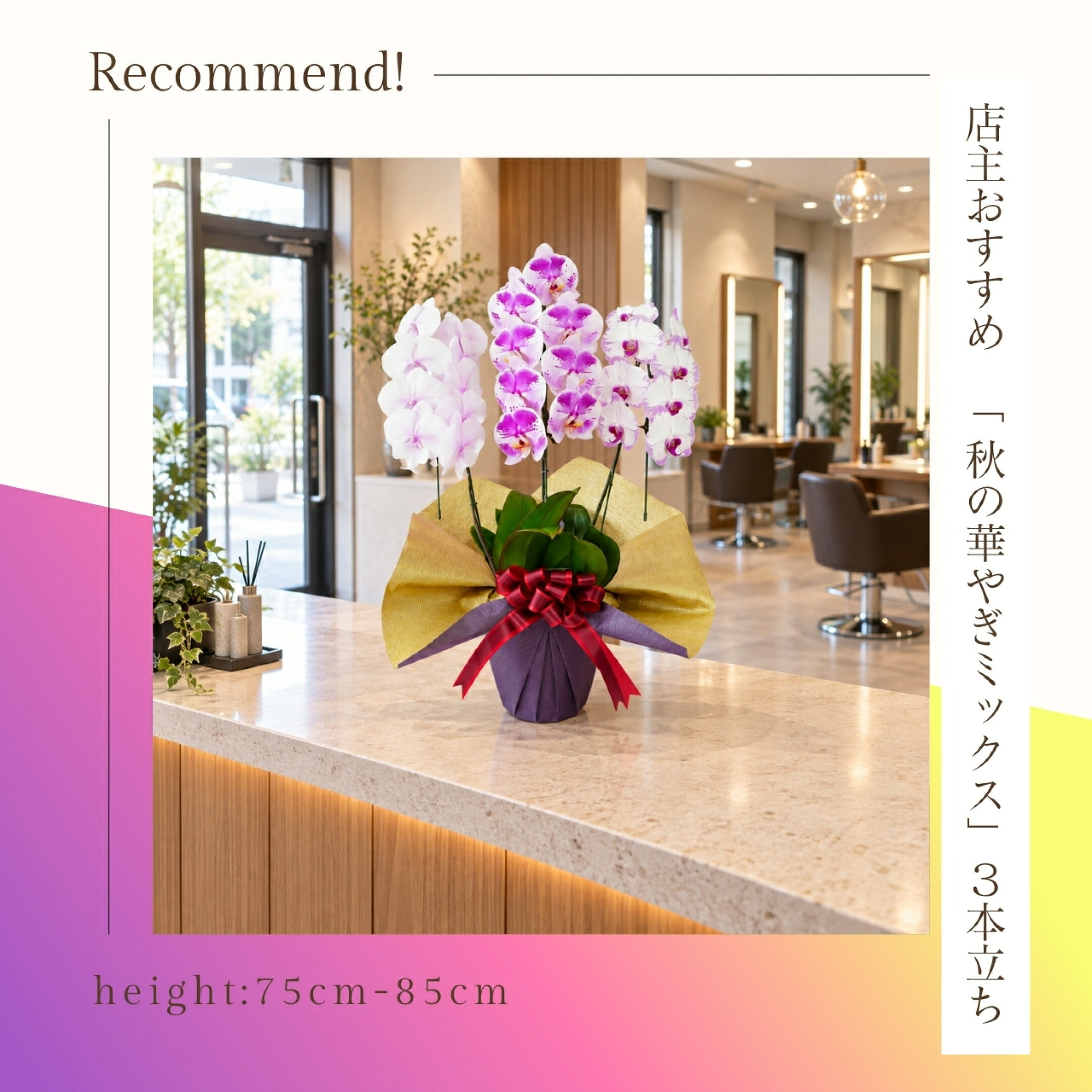 この秋だけの限定セレクション　胡蝶蘭オリジナルミックス