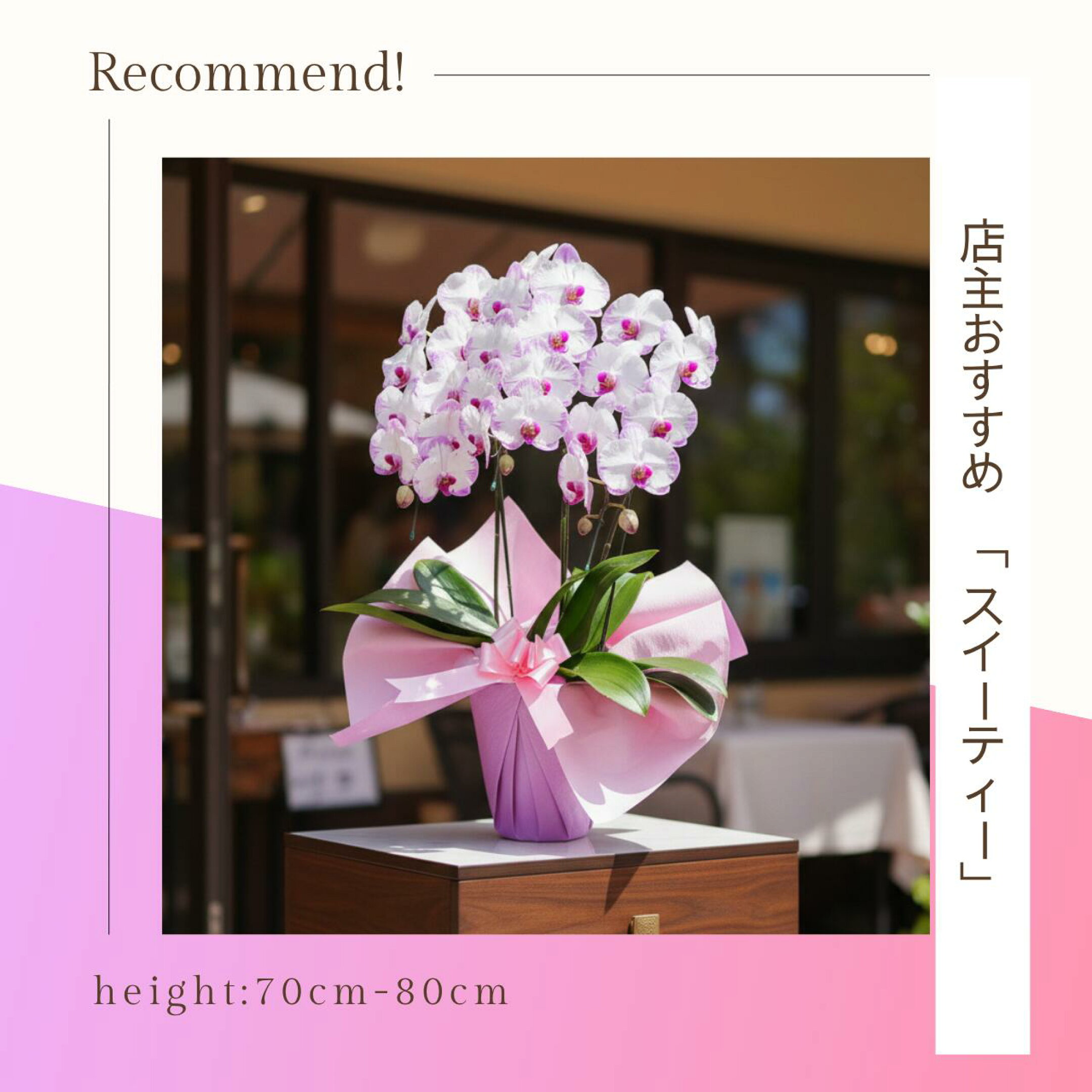 ふじみ野ラン園でも人気の品種。とても花もちが良いです。
