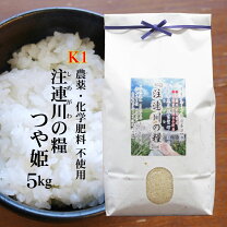 楽天市場】ネオニコチノイド系農薬 日本の通販