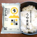 令和6年産 島根県吉田町『うやま米』コシヒカリ5kgネオニコチノイド系農薬不使用/神話の里、山間地に位置する秘境・宇山の良質米/送料無料（一部地域）