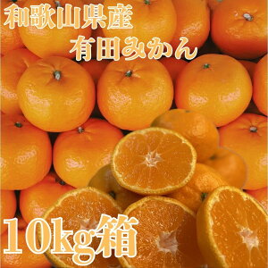 I Lc݂ 10kg Y a̎R a̎RY ݂ Lc { ʕ t[c  Mtg v[g