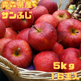 特選サンふじりんご 5キロ りんご サンふじ ふじ 早生 りんご 林檎 フルーツ 果物 くだもの 国産 青森県 青森 サンふじ フルーツギフト ギフト プレゼント 特選 贈答 お祝い 内祝