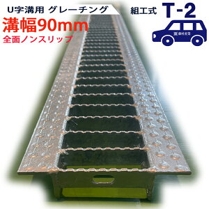 Uap O[`O aW ʖ SʃmXbv^Cv { a 90pi90mmj T-2ipԒxj ^KNUN193F09 ua aӂ a a W t^ ӂ  Jo[90 åW ~ åW 