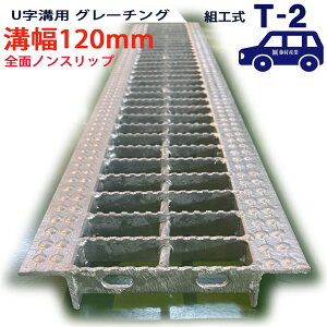 Uap O[`O aW ʖ SʃmXbv^Cv { a 120pi120mmj T-2ipԒxj ^KNUN193F12 ua aӂ a a W t^ ӂ  Jo[120 åW ~ a