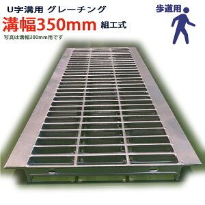 Uap O[`O aW ʖ v[^Cv { a 350pi350mmj p ^KUN25F35 ua aӂ a a W t^ ӂ  Jo[350 åW ~ åW ԏ H O g