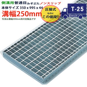 coȂ apO[`O aW ʖ mXbv ڎ a 250pi250mmj{350x995x44 T-25i^g[[xj ^PN44F25_S co Ƃ aӂ a a W t^ ӂ  J