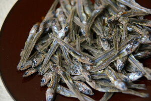 RCY c育܂߁@TCYij