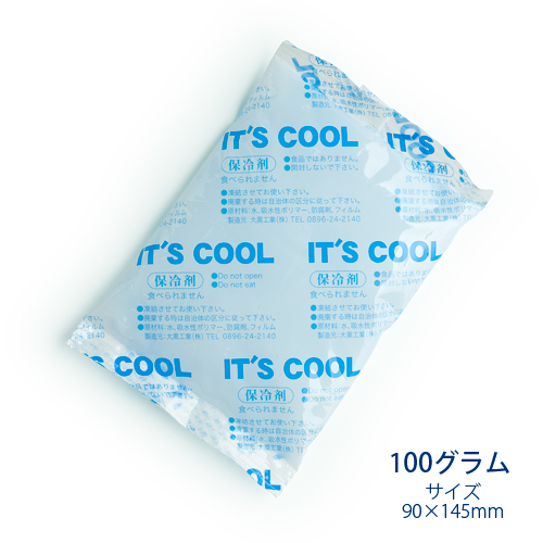 クーラーボックスやお弁当などに 保冷剤 100グラム 日本 It's Cool イッツクール 売れ筋商品 1ケース 業務用 I-100 160入
