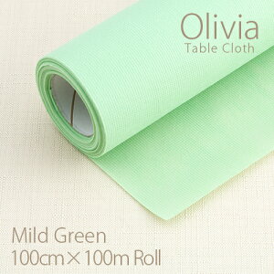 IrA e[uNX }ChO[ 100cm×100m[ Ɩp