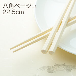 SPS[X 􂢔 p x[W 22.5cm 1P[X(100V) Ɩp