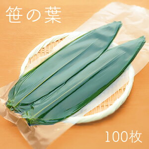 e-style ̗t 100pbN ^pbN Ɩp