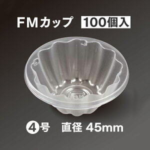 ĝăvX`bNe FMJbv 4 100 Ɩp
