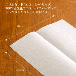 e-styleエコペーパータオルエコノミー(小判)サイズ1ケース(200枚×42個)【業務用】