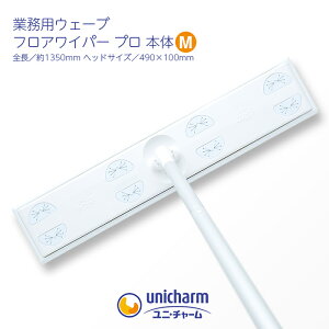 EF[u tACp[ v M{ 49cm Ɩp