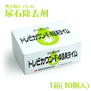 AΏ gsJT-40C 1(40g×10) Ɩp