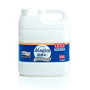 CI Ɩp `[~[}WJ ۃvX 3.8L vtFbVi XvbVIW̍ Ɩp