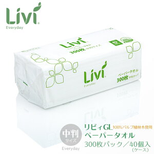 jo[Ty[p[ rB GL y[p[^I M[() 300 40^P[X Ɩp