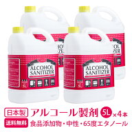 65度エタノール製剤 5L×4本 食品添加物キッチンアルコール e-style アルコールサニタイザー65 アルコー…