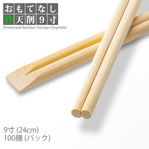 蔢 e-style ĂȂ|V픢 9(24cm) 100V 1pbN |  | ĝĔ Ɩp